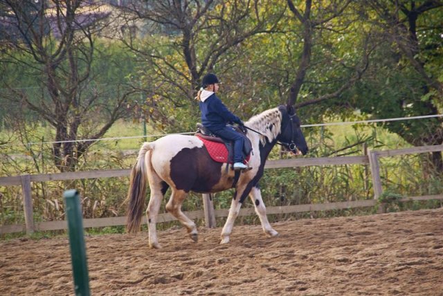 Hubertus 2009